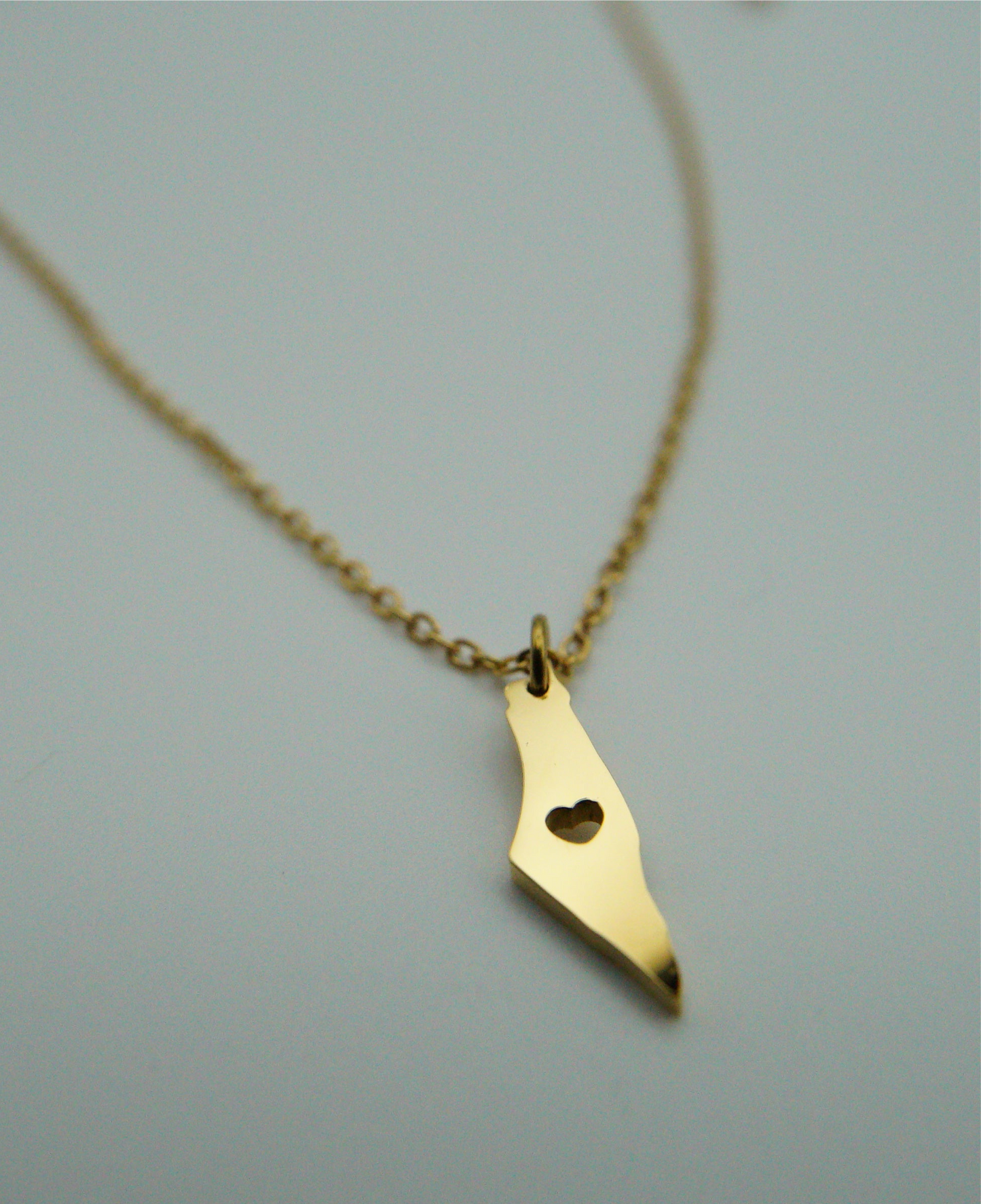 Palastine Heart Map Necklace