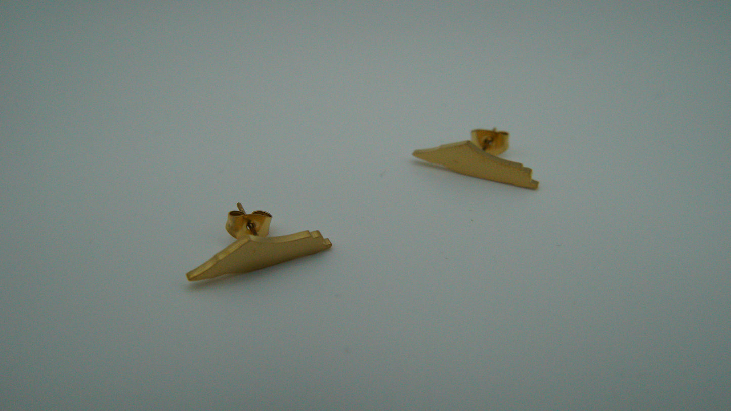 Palestine Map Earrings